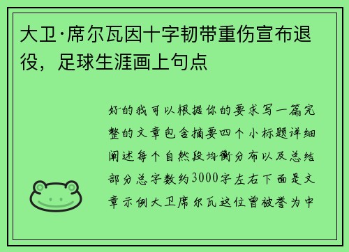 大卫·席尔瓦因十字韧带重伤宣布退役，足球生涯画上句点